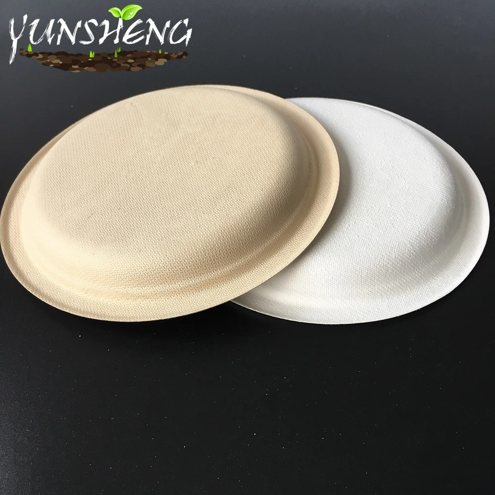 Customized Disposable Biodegradable Paper Round Plates for Delicious Food or Fruit on Party Made by Compostable Materials